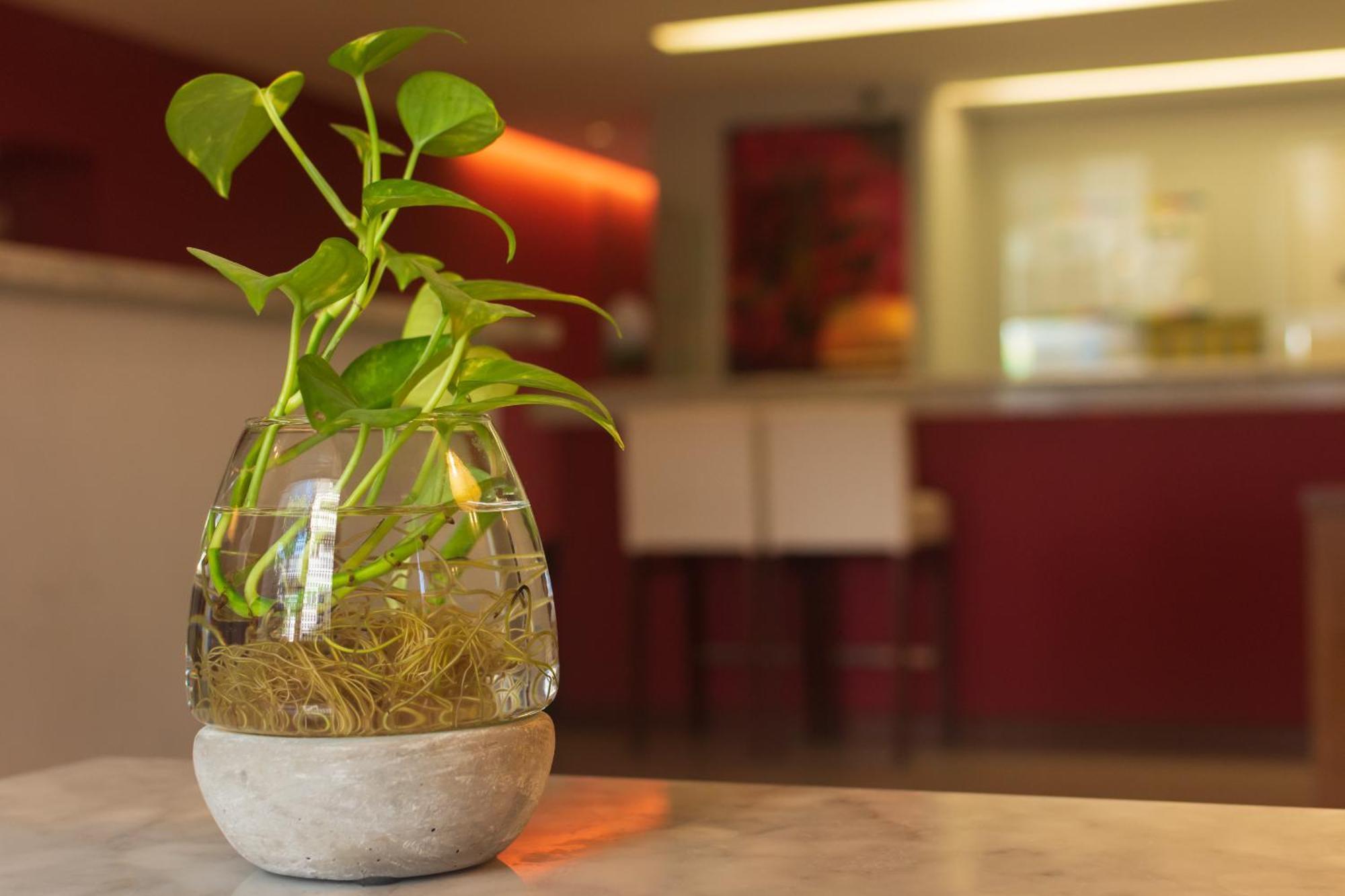 1412 Hotel Boutique Росарио Екстериор снимка